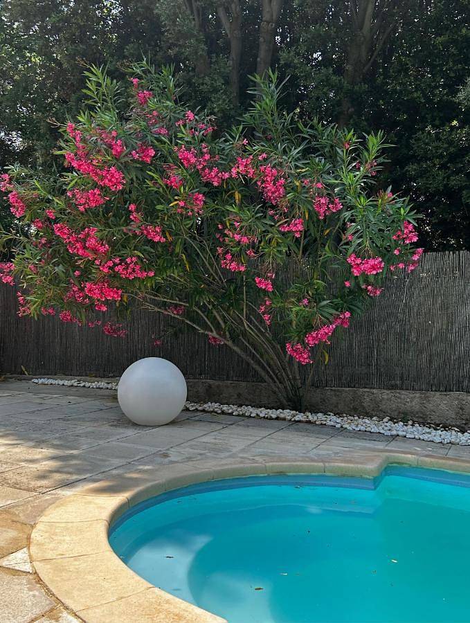 Gîte pour 2 personnes, avec piscine ainsi que vue et jardin, animaux acceptés à Puget - 4