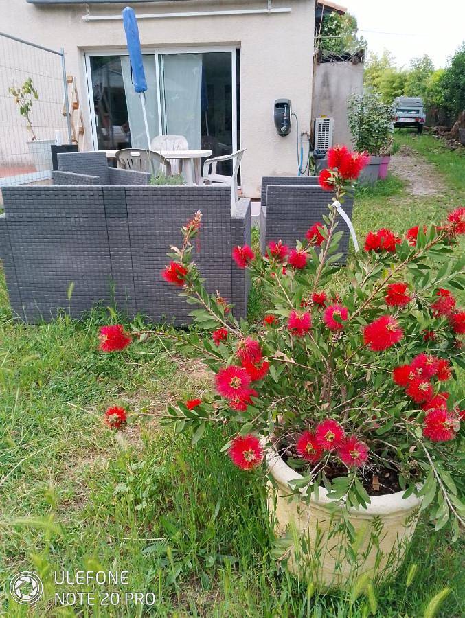 Gîte pour 5 personnes, avec piscine et jardin à Saint-Drézéry - 4