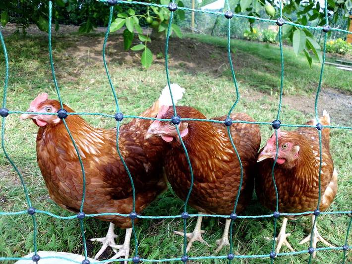 Ferienhaus für 2 Personen