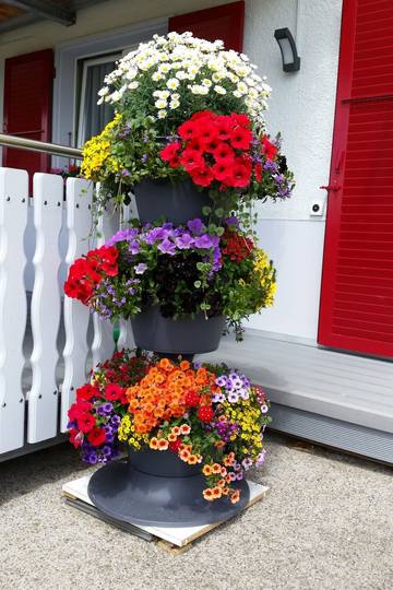 Agriturismo voor 5 Personen in Jura (kanton), Afbeelding 3