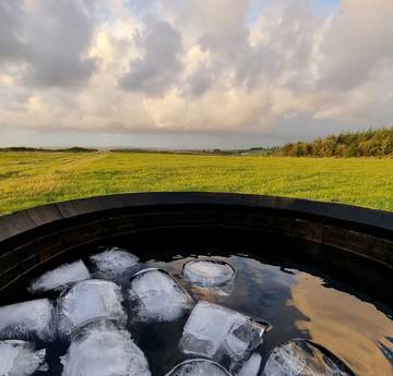 Glamping for 2 People in Ceredigion, Mid-Wales, Photo 3