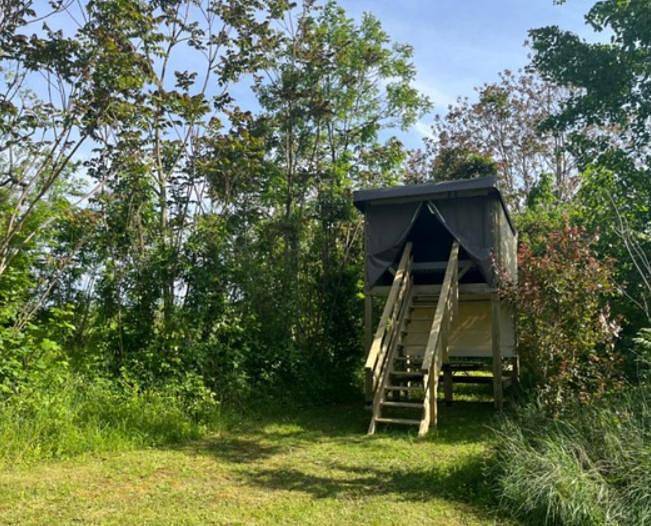 Camping pour 4 personnes, avec terrasse et jardin ainsi que vue et piscine dans Grand Est - 3