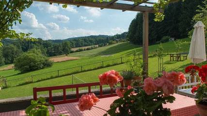 Ferienhaus für 2 Personen, mit Garten und Balkon in Attergau