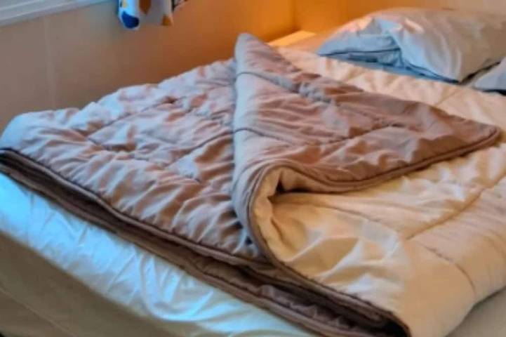 Mobil home pour 4 personnes à Vielmur-sur-Agout - 2