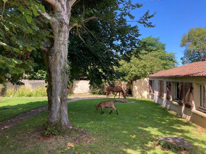 Location de vacances pour 4 personnes, avec vue et jardin à Blay - 2