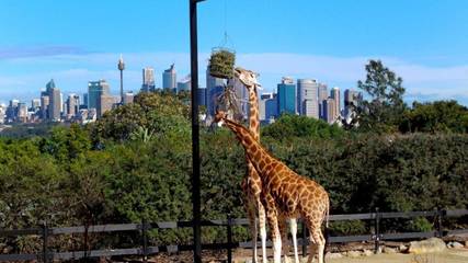 Apartament Wakacyjny dla 4 osoby w Sydney, Nowa Południowa Walia, Zdjęcie 3