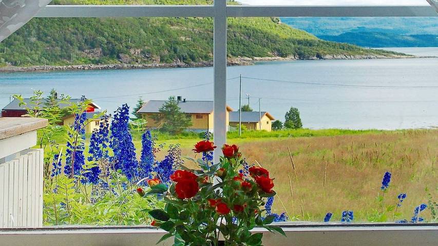 Ferienhaus für 4 Personen, mit Ausblick und Garten sowie Terrasse, mit Haustier in Troms