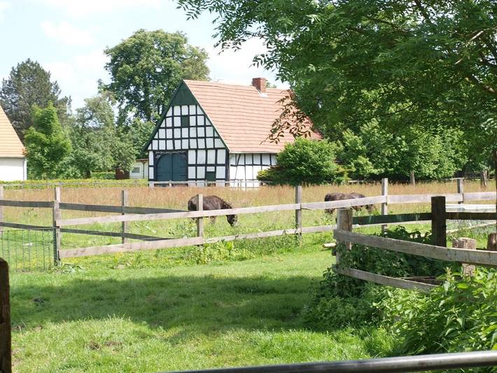 Ferienhaus für 3 Personen, mit Garten in Osnabrücker Land - 4
