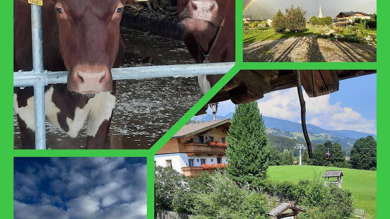 Ganze Ferienwohnung, Ferienwohnung für 4 Personen (24 m²) in Hollersbach im Pinzgau in Hollersbach im Pinzgau, Pinzgau