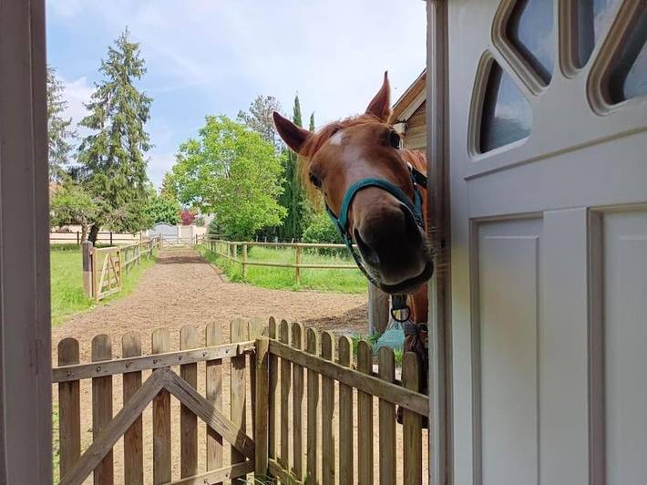 Location de vacances pour 4 personnes, avec jardin à Méré