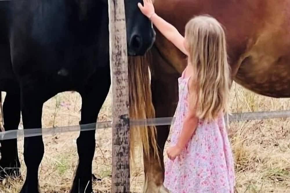 Ranch du Roc in Monteils, Tarn-et-Garonne
