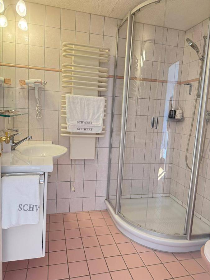 Hôtel pour 3 personnes, avec jardin et vue sur le lac ainsi que balcon et vue à Gersau - 4