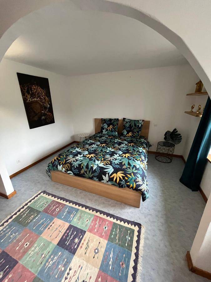 Gîte pour 4 personnes, avec jardin et vue à Saales - 4