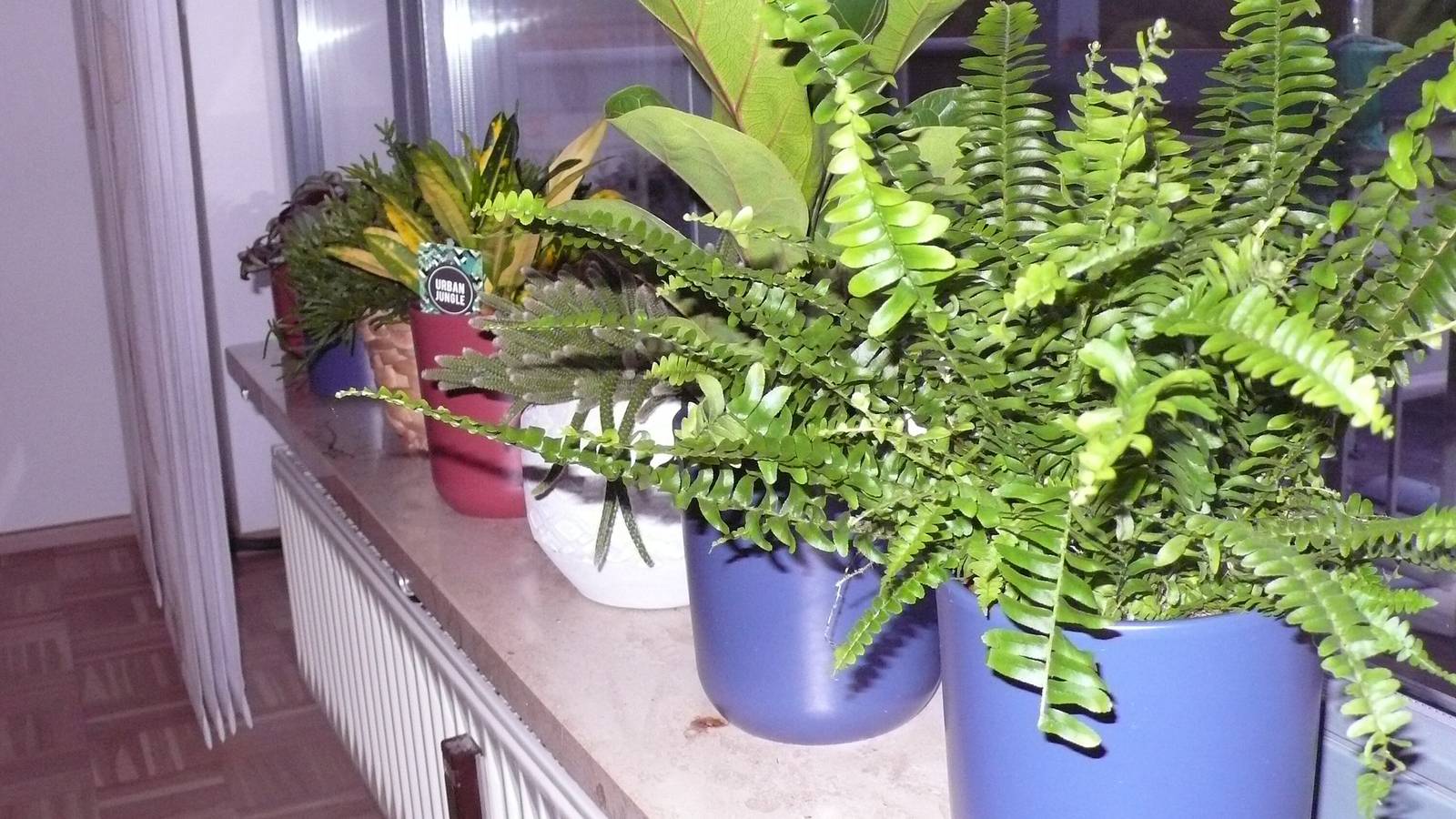 Ganze Wohnung, Ferienwohnung in ehemaliger Bank mit Balkon in Sinntal, Rhön-Hessen