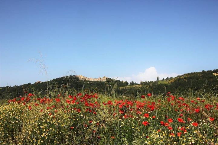 Spacious Apartment in lovingly restored Countryhouse in Montone, Valtiberina