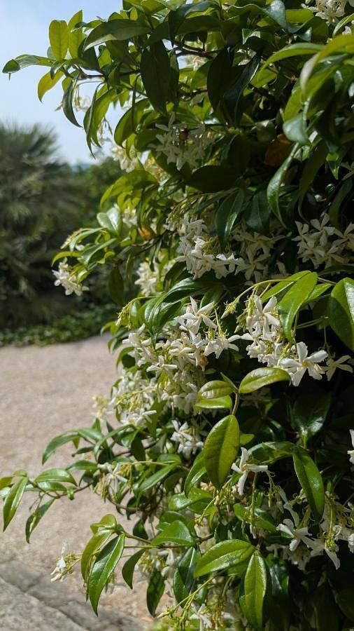 Location de vacances pour 2 personnes, avec piscine ainsi que vue et jardin à Uzer - 4