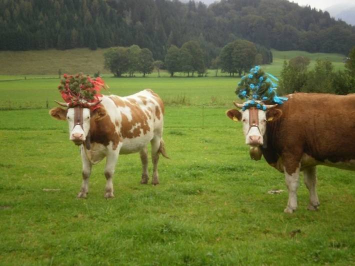 Bauernhaus für 6 Personen, mit Garten und Terrasse sowie Ausblick in Alpenland Tegernsee Schliersee - 4