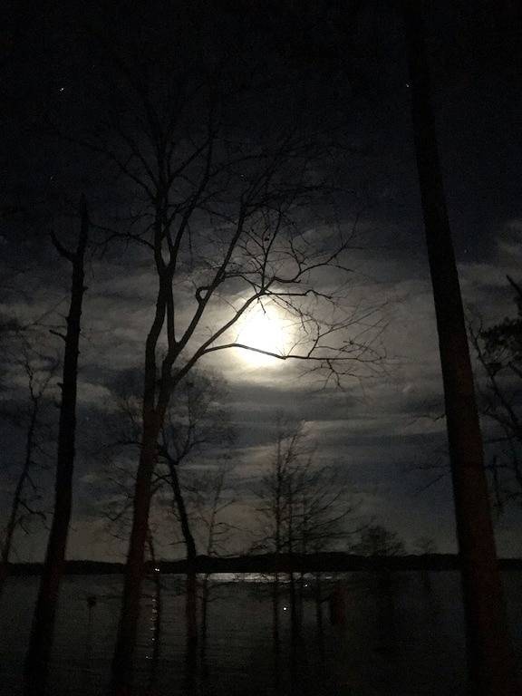 \"Lake Life\" - Sam Rayburn in Sam Rayburn Reservoir