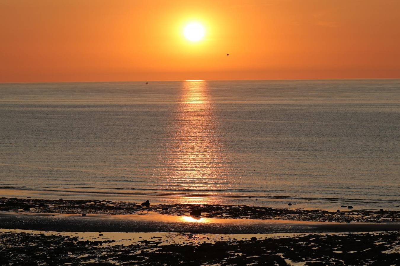 Gîtes de France® - Le Phare Ouest in Quiberville, Région de Dieppe