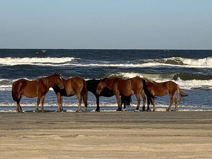 Vacation home for 16 people, with terrace and hot tub as well as pool, with pets in Outer Banks