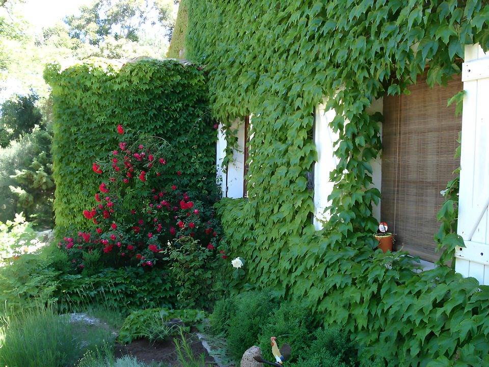 Les chambres de l'Hôte Antique - Chambre 1 - Double in Porto-Vecchio, Arrondissement de Sartène