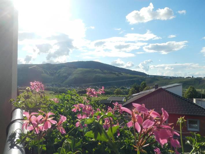 Ferienwohnung für 2 Personen, mit Garten in Brauneberg - 2