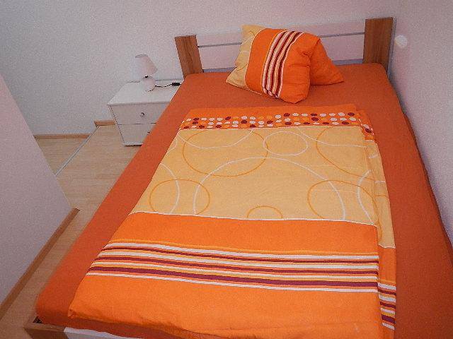 Entire holiday apartment, Appartement/Fewo, Dusche, Wc, 2 Schlafräume in Sankt Martin am Grimming, Enns valley