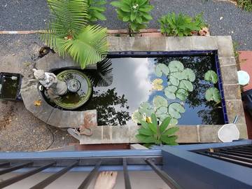 Apartment for 3 Guests in Houston, Harris County, Picture 1