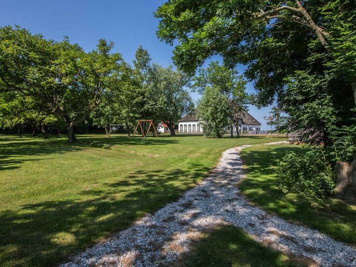 Strandhaus für 6 Personen, mit Garten und Terrasse auf Texel - 3