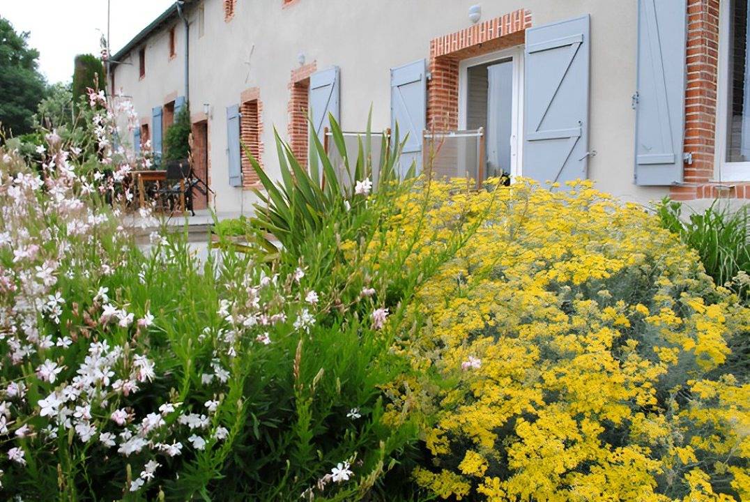 Vieil Mur - La Rocaille in La Séguinière, Région de Cholet