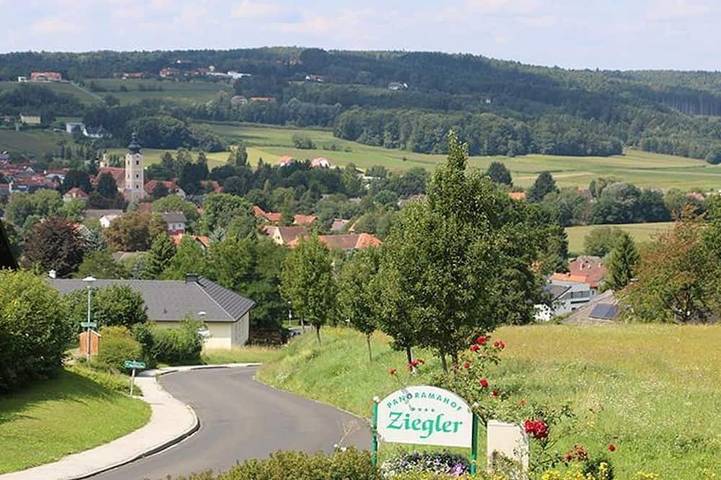 Hotel "Panoramahof" Ziegler - Doppelzimmer in Bad Waltersdorf, Steirerland
