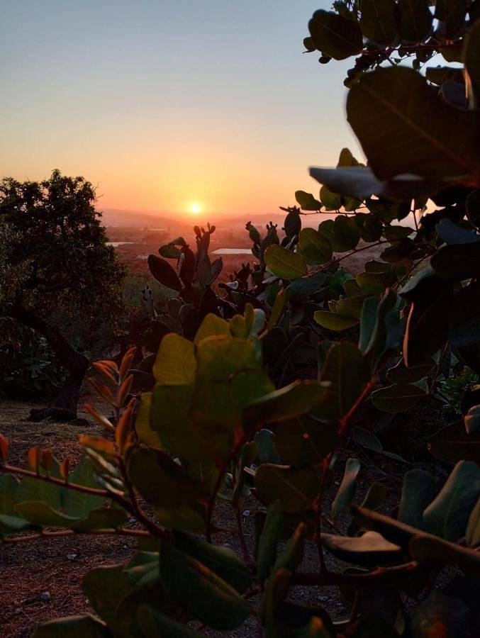 Chambre d’hôte pour 3 personnes, avec Terrasse ainsi que Jardin et Vue à Chiaramonte Gulfi