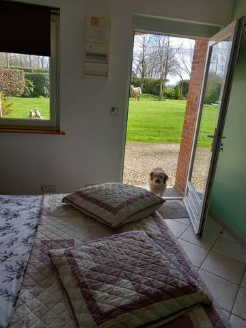 B&b for 2 People in Saint-Léonard, Seine-Maritime, Photo 2