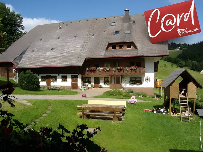 Ganze Wohnung, Ferienwohnung 'St Märgen, 55qm' mit Gemeinschaftsgarten, Balkon und Wi-Fi in St. Peter, Südschwarzwald