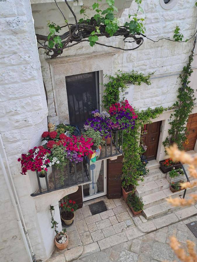 Bed and breakfast per 4 persone, con balcone e panorama, con animali domestici - 1