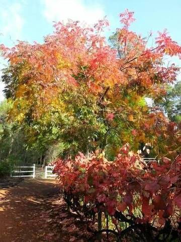 Cottage for 4 People in Western Australia, Australia, Photo 3