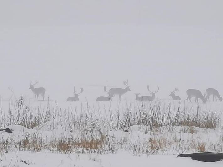 Ferienhaus für 6 Personen in Waren (Müritz)