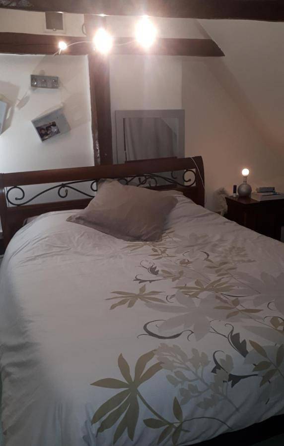 Location de vacances pour 2 personnes, avec jardin et vue, animaux acceptés à Parigné-l'Évêque - 4