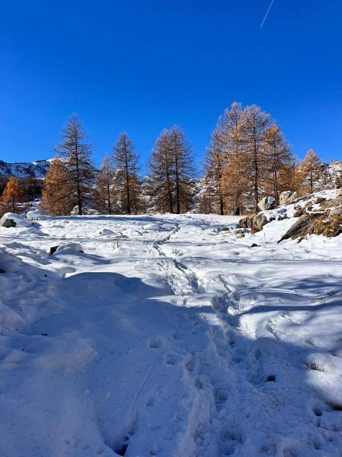 Hôtel pour 3 personnes, avec jardin et terrasse à Tende - 4