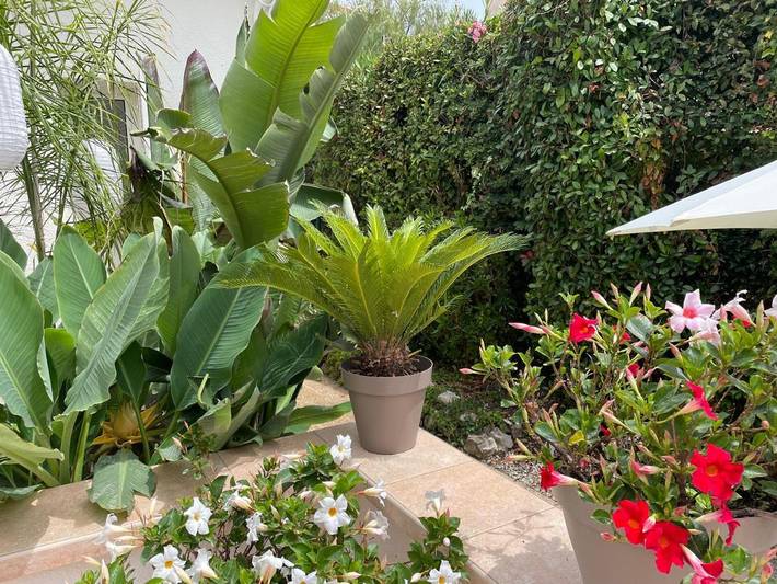 Location de vacances pour 4 personnes, avec piscine et jardin dans Plage de la Salis - 2