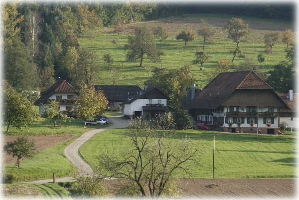 Ganze Ferienwohnung, Moserhof - Fewo Seelbachblick, 55qm, 2 Schlafräume, max. 4 Personen in Seelbach, Mittlerer Schwarzwald