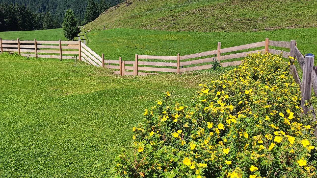 Geheel vakantieappartement, Vakantieappartement voor 3 personen met tuin in Mittersill, Pinzgau