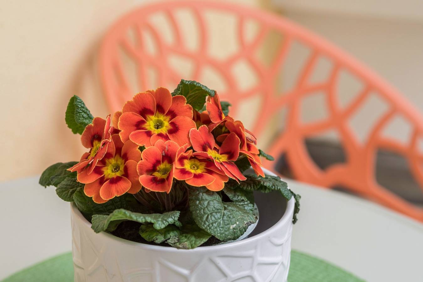 Ganze Wohnung, Ferienwohnung "Seenaah" auf der Insel Lindau in der Nähe des Sees in Lindau, Bayerisch Schwaben