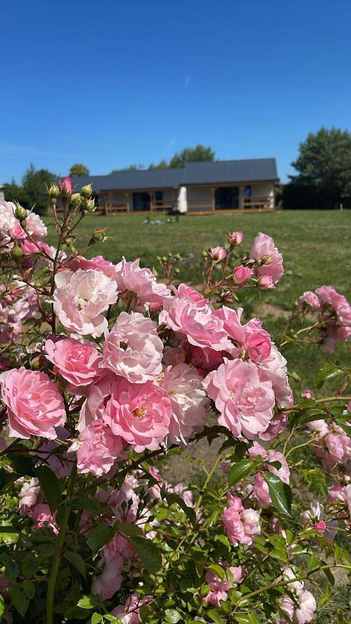 Ferienhaus für 6 Personen, mit Garten, mit Haustier