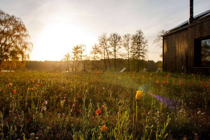 Ferienhaus für 4 Personen, mit Sauna und Garten in Rheinsberg - 4