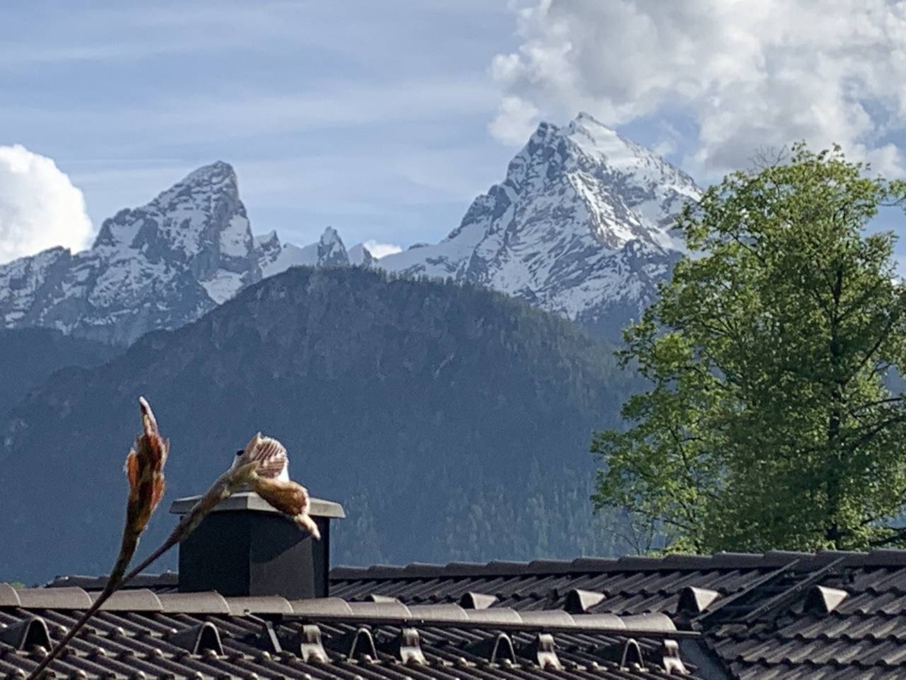 Appartamento vacanze a Alta Baviera a partire da 158€ a notte