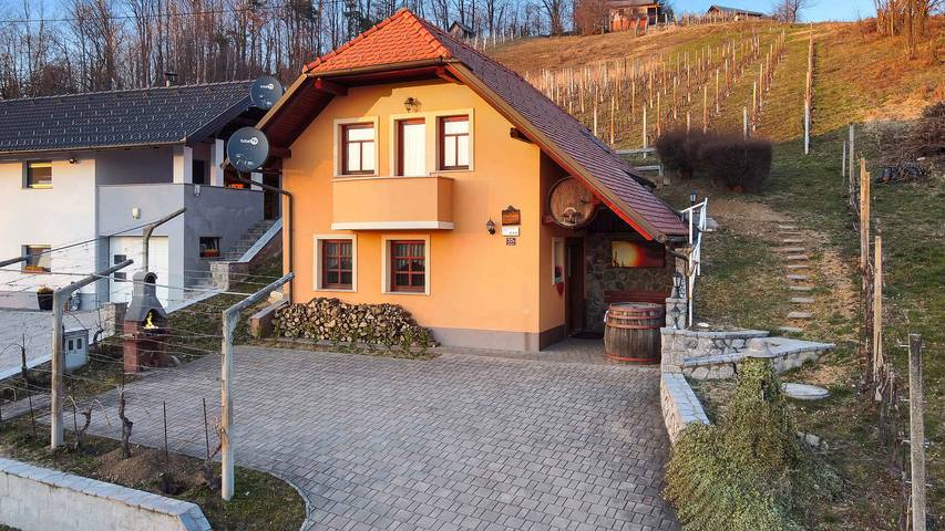 Ferienhaus in the vineyards in Sankt Kanzian, Slowenien