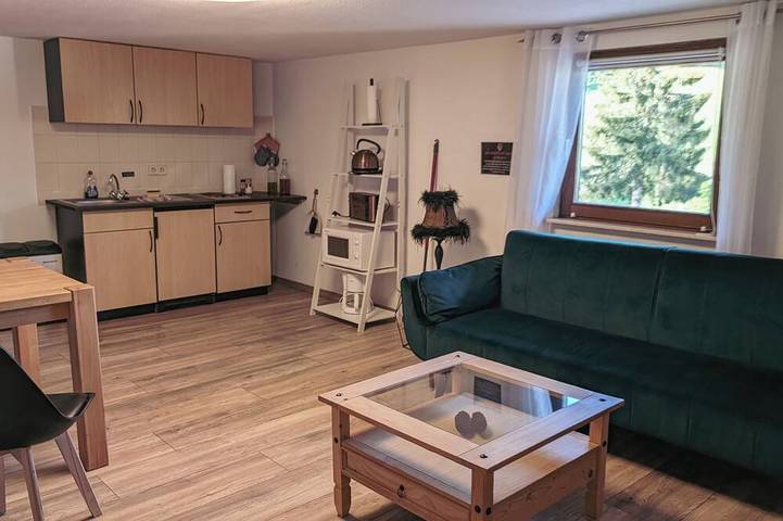 Ferienwohnung für 3 Personen, mit Garten und Sauna in Furtwangen