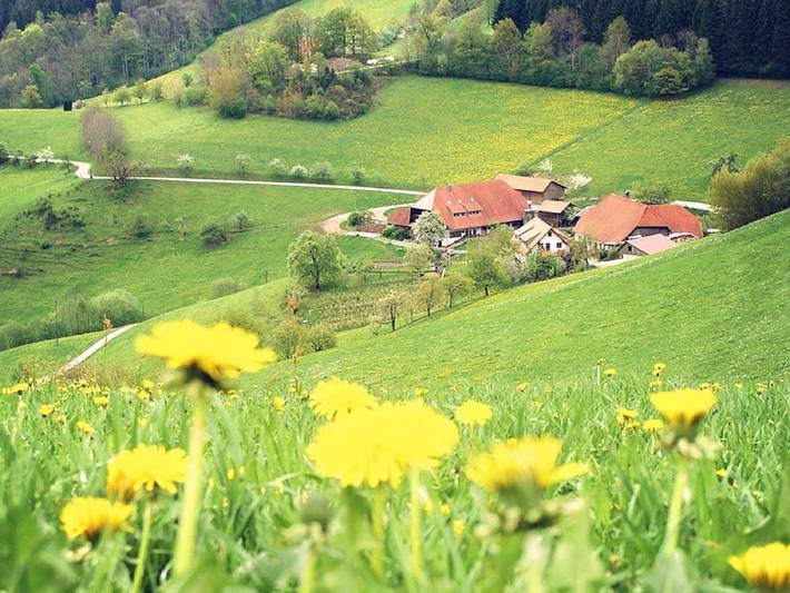 Bauernhof für 9 Personen, mit Balkon und Balkon/Terrasse sowie Terrasse und Garten