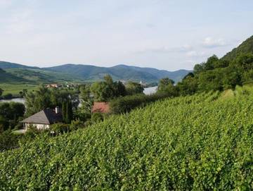 Ferienwohnung für 2 Personen in Rossatz-Arnsdorf, Waldviertel, Bild 3